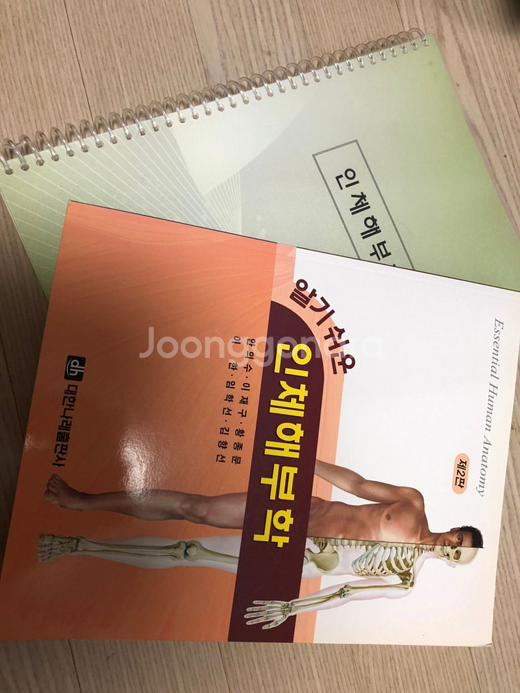 알기 쉬운 인체해부학 -대한나래--0