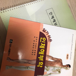 알기 쉬운 인체해부학 -대한나래