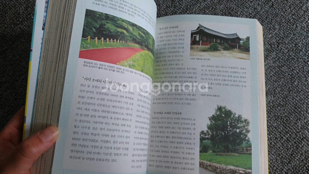 공부도 하는 주말 가족여행 도서 책--4