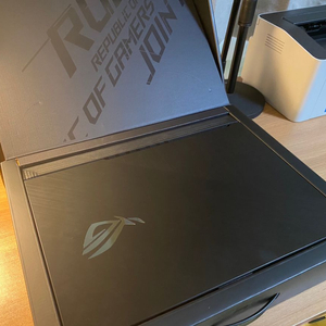 Rog Strix G731GU-EV005 팝니다