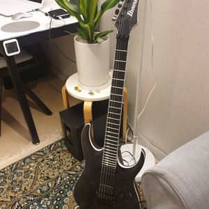 아이바네즈 아이언라벨 ibanez rgaix6fmt