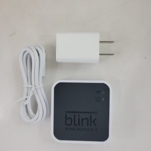 Blink Sync Module 2