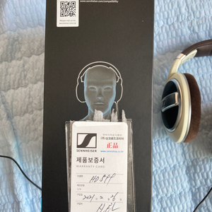 젠하이저hd599