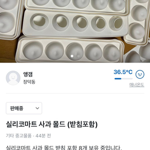 실리코마트 사과 몰드(받침 포함)