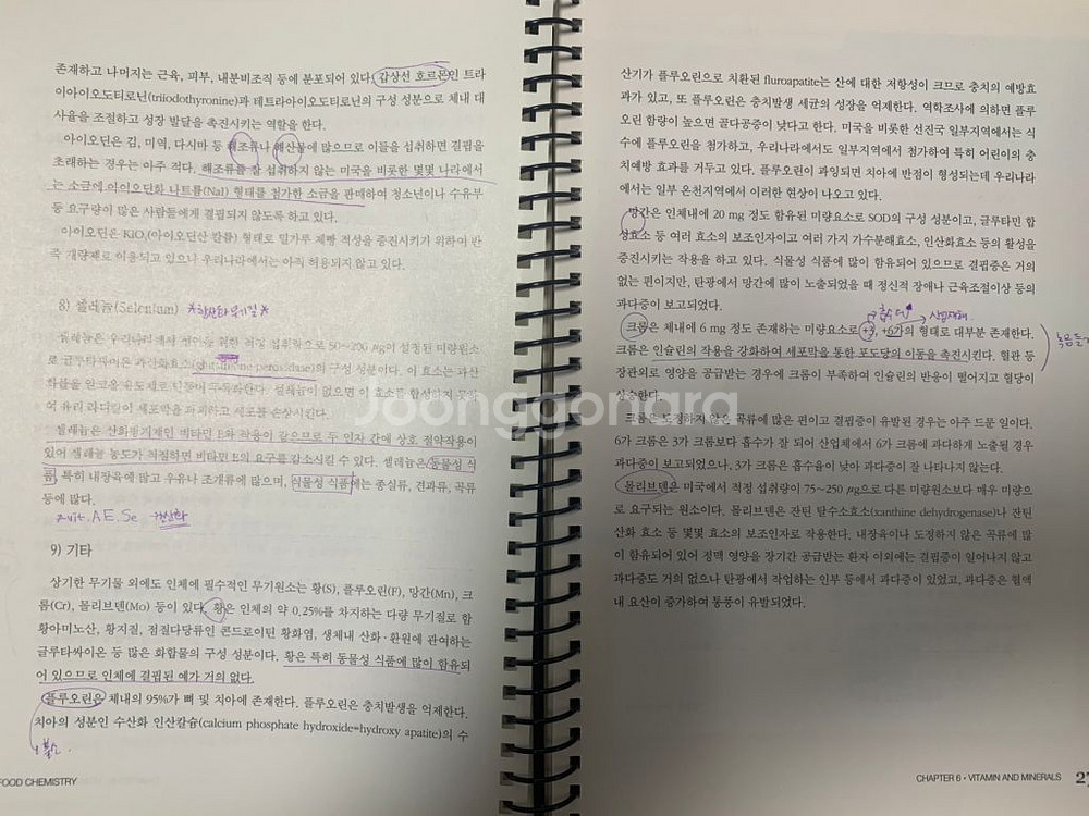 식품화학(수학사)--3