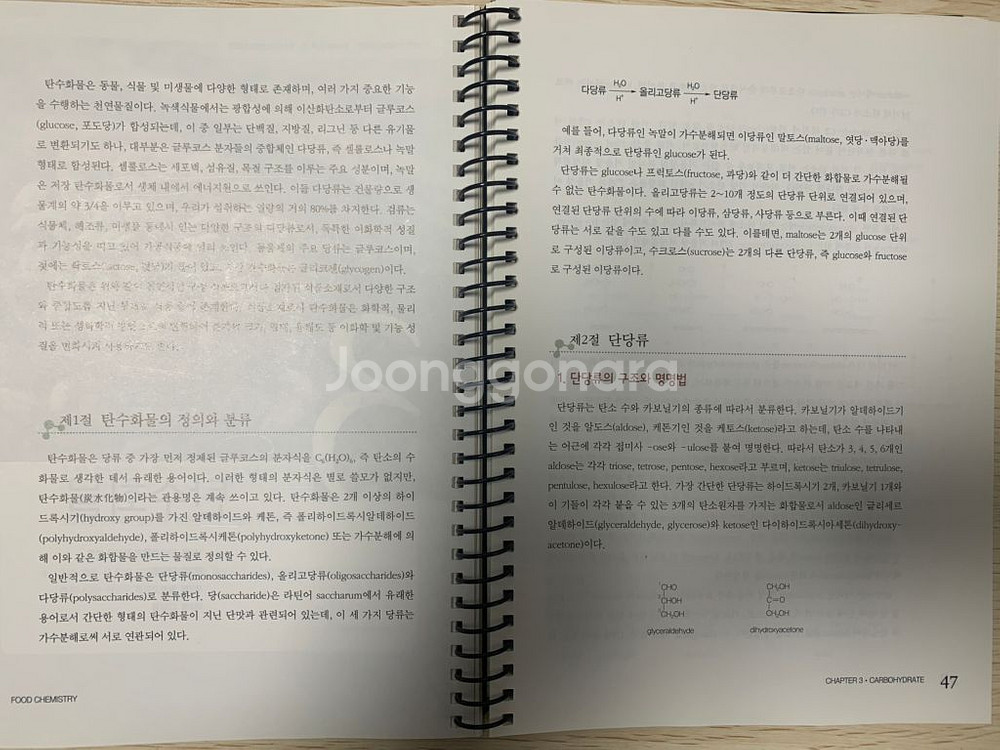 식품화학(수학사)--1