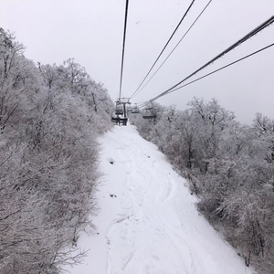 용평 스키장 오후 리프트