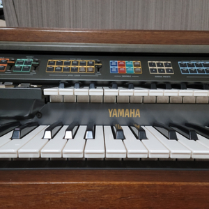 YAMAHA F55