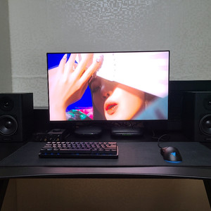 27gn950(풀박스)