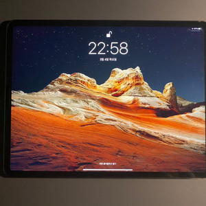 iPad Pro3세대(12.9형) 256GB Wi-Fi