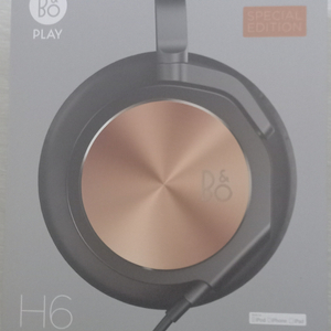 뱅앤올룹슨 B&O H6 스페셜 에디션