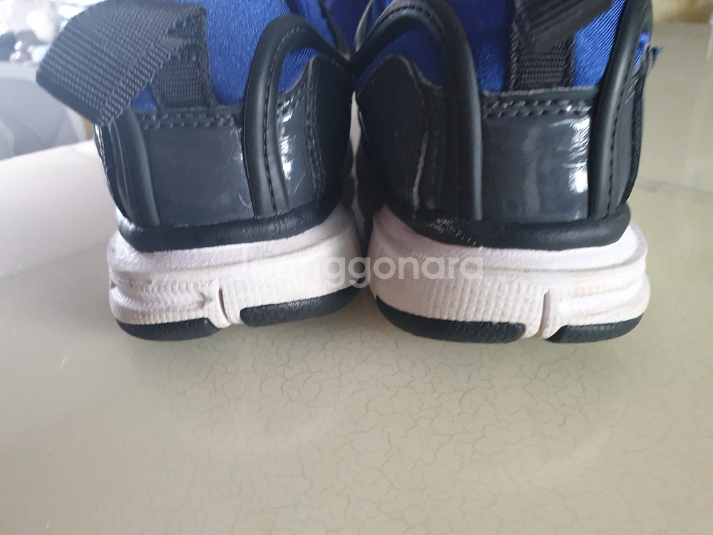 다이나모프리 190--1