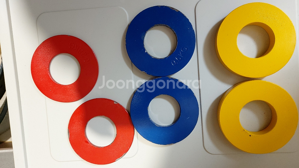 도미닉팜 경량원판 0.25/0.5/1.0kg--0