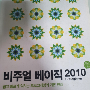 비주얼 베이직 2010
