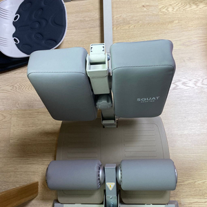 숀리스쿼트머신 ALL NEW TWO IN ONE 팝니다