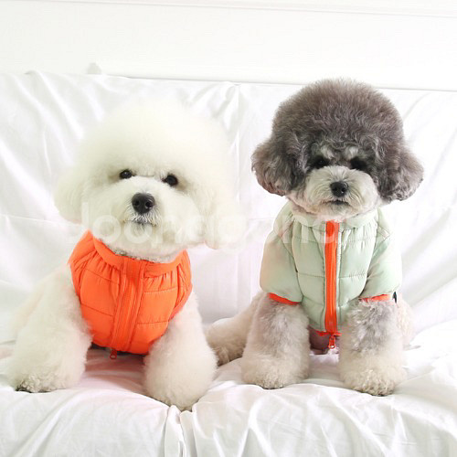 강아지 초경량 양면 패딩--5