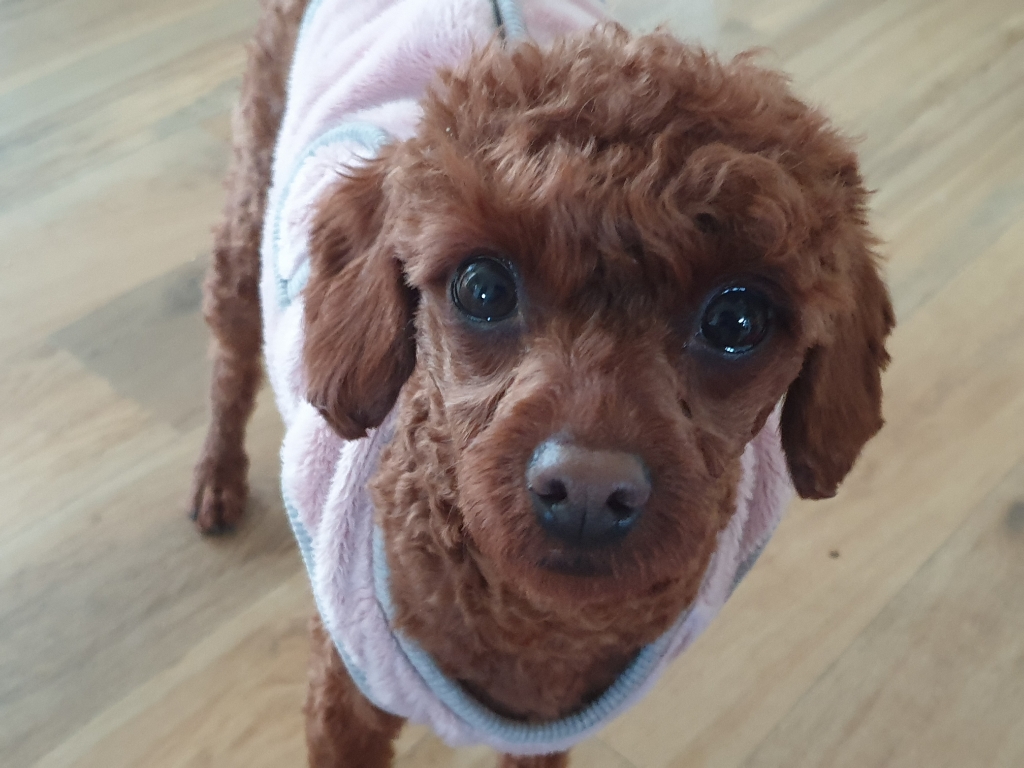프로필 이미지