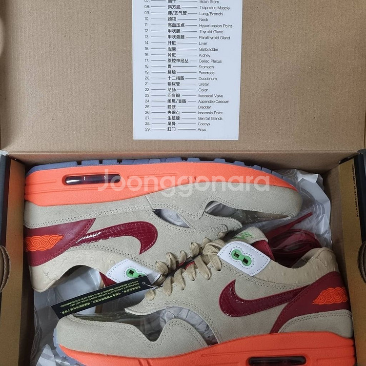 (265) 나이키 맥스1 x clot 새상품--0