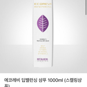 에코레비 지성 딥밸런싱샴푸 1000ml