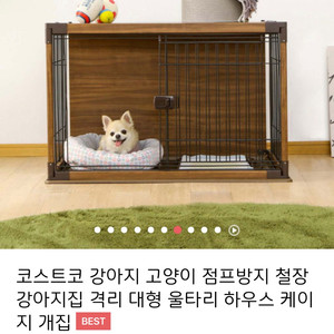 강아지 철장