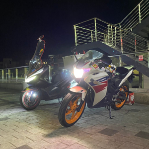 cbr125 판매/대차