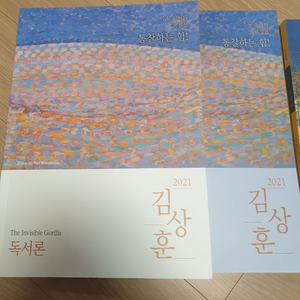 대성마이맥 김상훈 독서론 본교재+해설 문법론