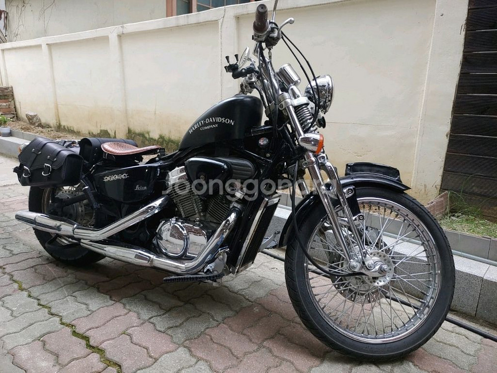 스티드 스프링거600--1