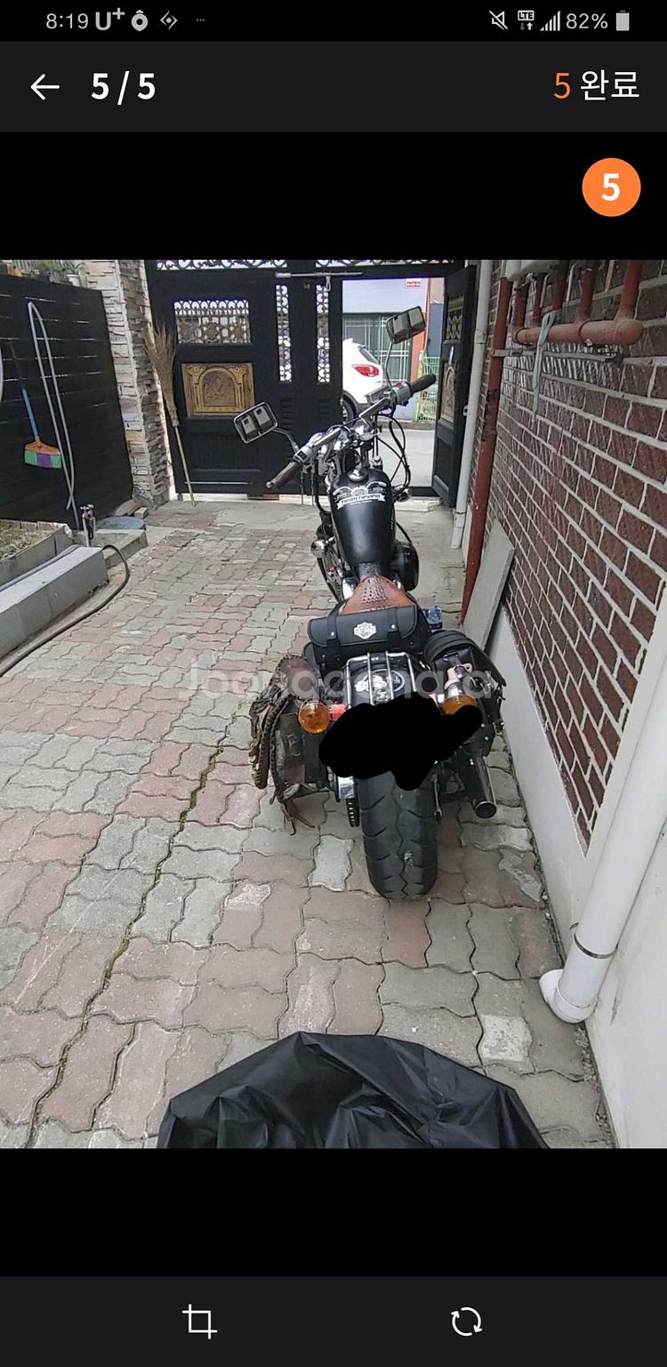 스티드 스프링거600--2