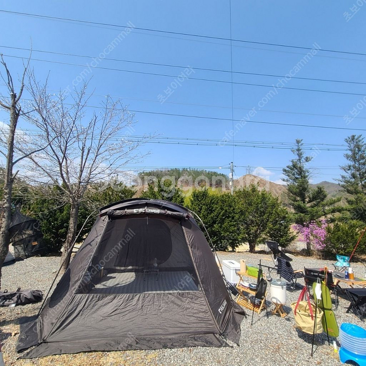 폴라리스 타우루스 (초코브라운)정품 우레탄창 포함 팝니--2