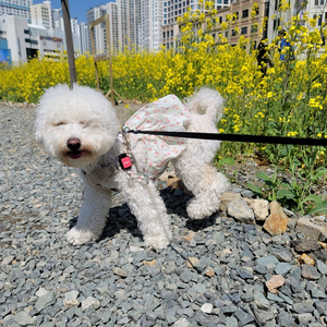 울산 양산 배그컴퓨터세트삽니다