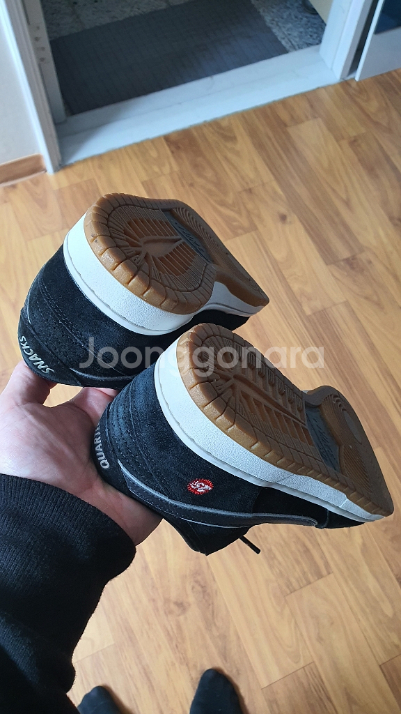 NikeSB Dunk Low 프리미엄 콜라보 250mm--3
