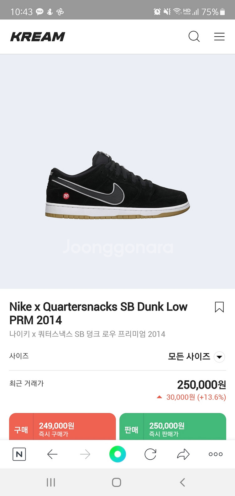 NikeSB Dunk Low 프리미엄 콜라보 250mm--5