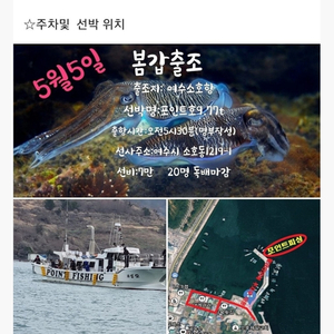 5월5일 여수 갑오징어 낚시 승선권 판매