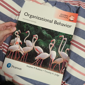 Organizational behavior 18판