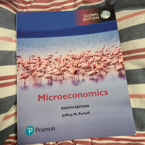 Microeconomics 미시경제학 8판