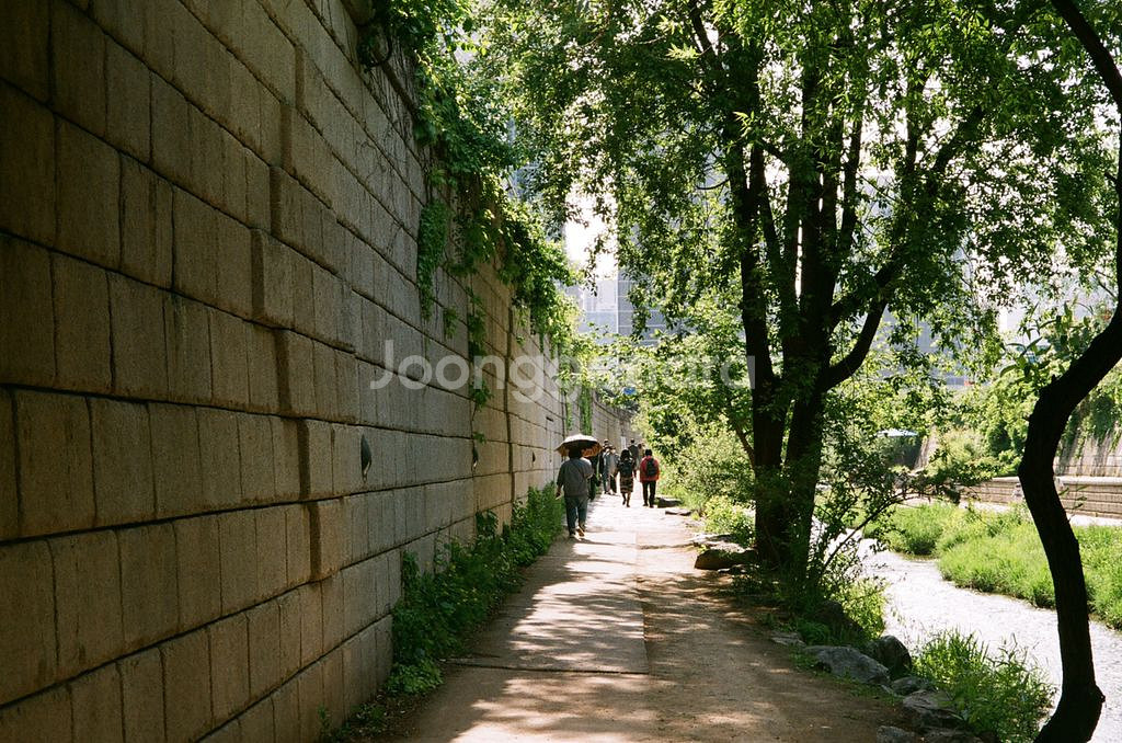 올림푸스 XA 필름카메라--7