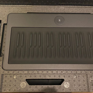 ROLI seaboard GRAND