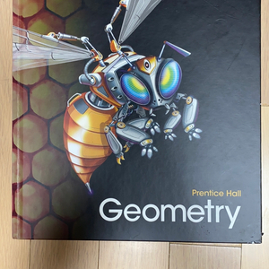 Prentice Hall Geometry (하드커버)