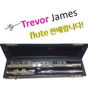 [중고] TrevorJames 플룻판매합니다(수리완료)