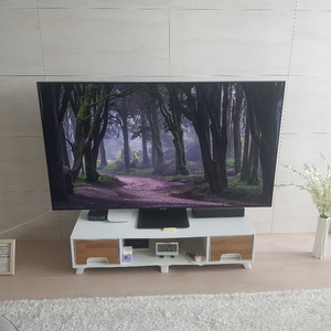 삼성 QLED 4K 65인치 TV KQ65QT95AFX