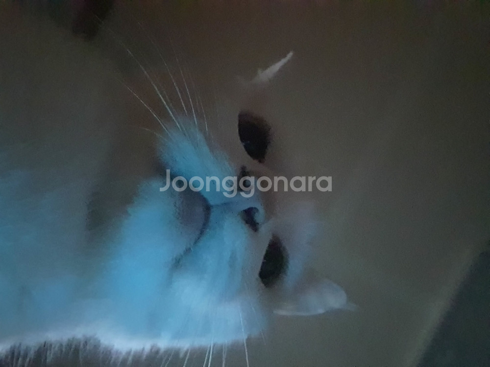 버즈프로 삽니다~--0