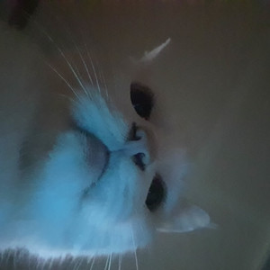 버즈프로 삽니다~