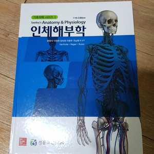 인체해부학