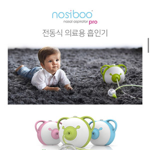 노시 부 핑크 or 그린