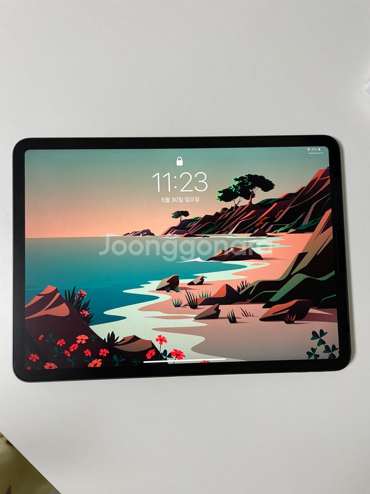 아이패드 프로 3세대 wifi 64--0