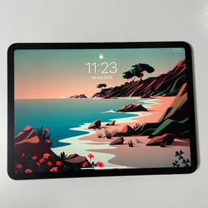 아이패드 프로 3세대 wifi 64