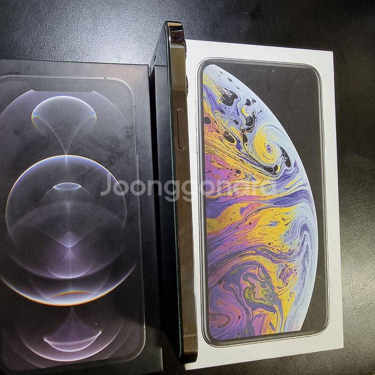 아이폰 12 pro max--4