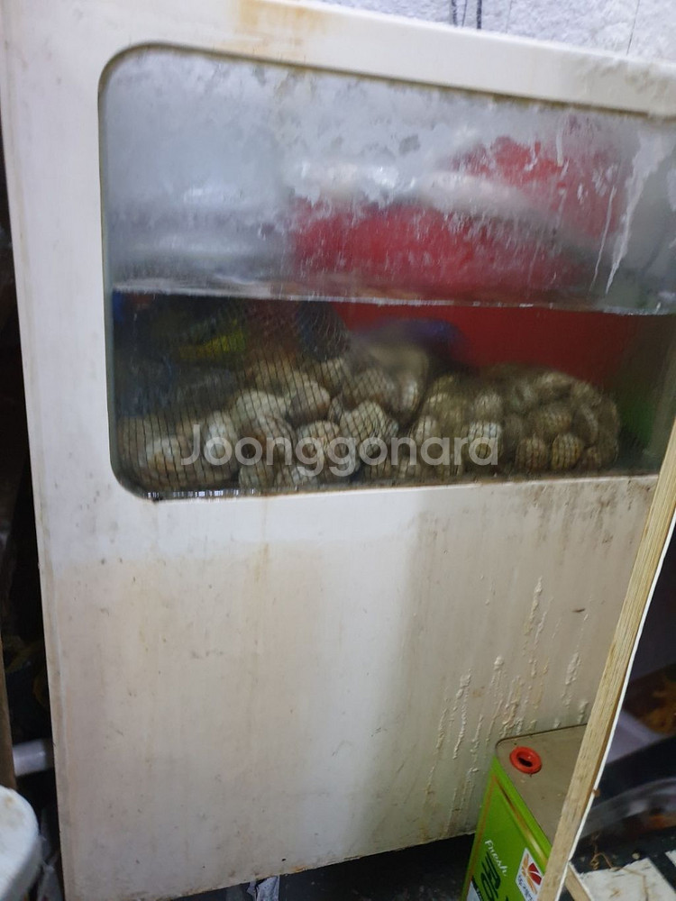 수족관 업소용 수조 어항 팝니다--5