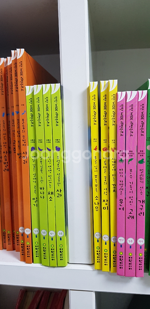 탄탄자연속으로--3