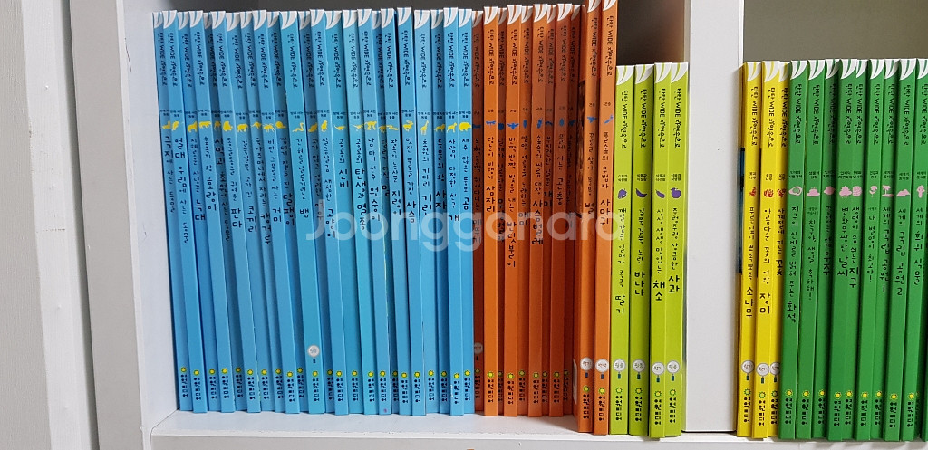 탄탄자연속으로--1